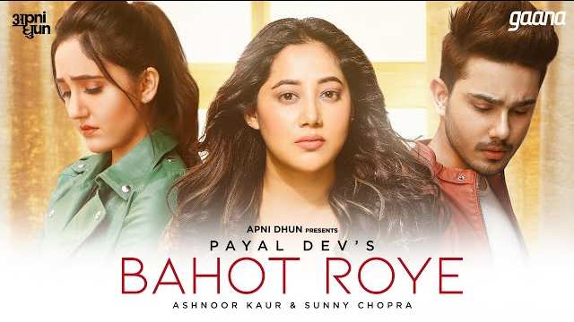 Bahot Roye Lyrics In Hindi | Payal Dev | Ashnoor Kaur