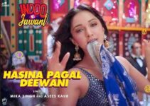 Hasina Pagal Deewani Lyrics | Mika Singh
