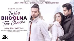 Tujhe Bhoolna Toh Chaaha Lyrics | Jubin Nautiyal