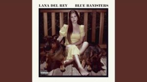 BLACK BATHING SUIT LYRICS - Lana Del Rey