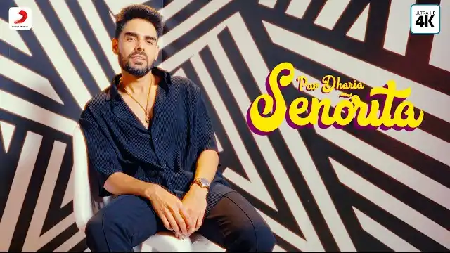 Senõrita Lyrics - Pav Dharia