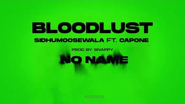 BLOODLUST LYRICS (No Name) - Sidhu Moose Wala