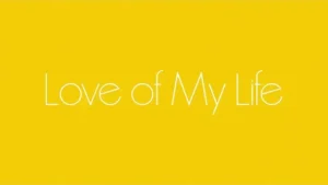 LOVE OF MY LIFE LYRICS - Harry Styles