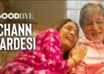 CHANN PARDESI LYRICS (Goodbye) – Amit Trivedi