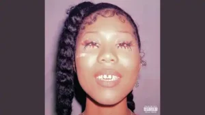 PRIVILEGED RAPPERS LYRICS - Drake