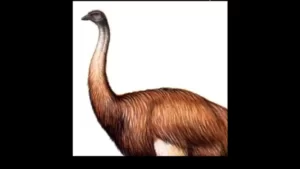 Da Biggest Bird Lyrics - SAINT MERCATØR