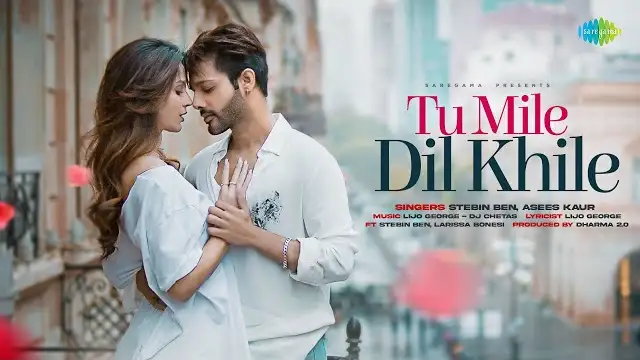 Tu Mile Dil Khile Lyrics - Stebin Ben