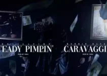 Steady Pimpin Lyrics – Robbie Banks & DerLilaPimp