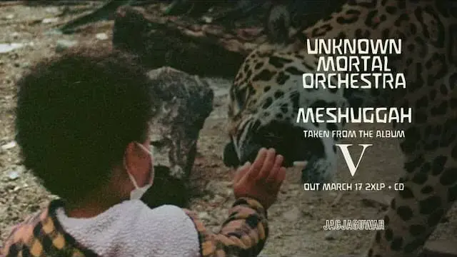 Meshuggah Lyrics - Unknown Mortal Orchestra