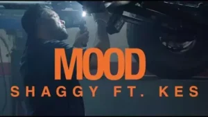 Mood Lyrics - Shaggy ft. Kes