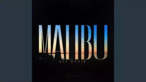 Malibu Lyrics - Ali Gatie