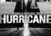 Hurricane Lyrics – Martin Garrix & Sentinel (feat. BONN)