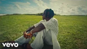 Into The Future Lyrics - Stonebwoy