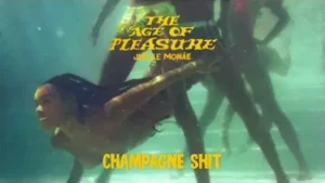 Champagne Shit Lyrics - Janelle Monáe