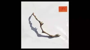 Prayer at the Gate Lyrics - PJ Harvey