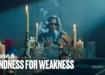 Kindness For Weakness Lyrics – Digga D