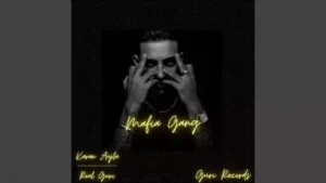 Mafia Gang Lyrics - Karan Aujla (feat. Real Guri)