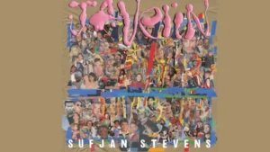 Is It My Fault? Lyrics - Sufjan Stevens
