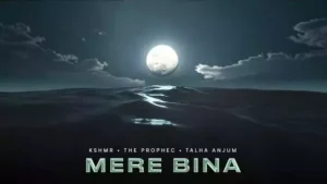 Mere Bina Lyrics - The PropheC (feat. Talha Anjum)