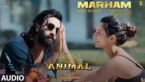 Marham (Pehle Bhi Main) Lyrics - Animal | Vishal Mishra