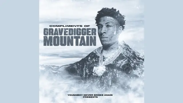 Damn Fee Lyrics - YoungBoy Never Broke Again