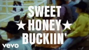 SWEET ★ HONEY ★ BUCKIIN’ Lyrics - Beyoncé