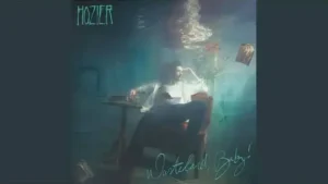 Why Would You Be Loved Lyrics - Hozier