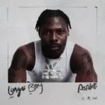 Fuji Vibe Lyrics - Asake