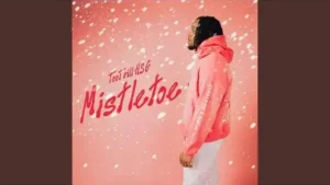 Mistletoe Lyrics - Too Trill HSG