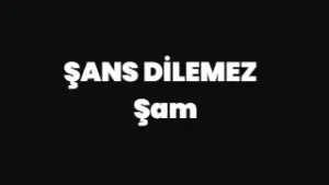 ŞANS DİLEMEZ Lyrics - Şam