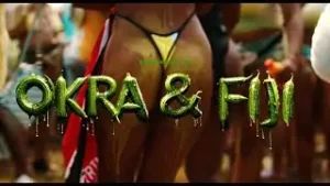 Okra & Fiji Lyrics - Digga D