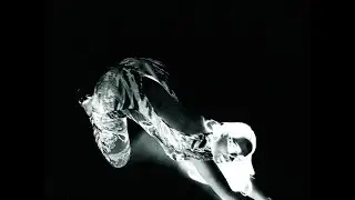 If I Could Lyrics - Lithe