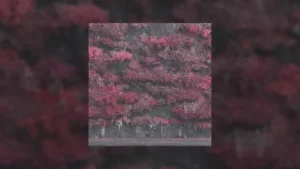 Infinite Baths Lyrics - Sleep Token | [from "Even In Arcadia"]