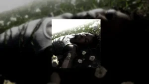 d4vd - "Feel It Lyrics" | [from "WITHERED"]