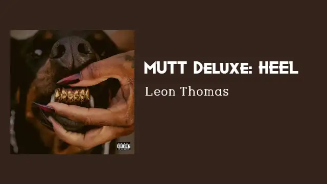 CATCH A STRAY Lyrics - Leon Thomas