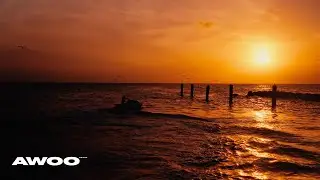 GL (Gangsta Love) (Lyrics In English) – Ryan Castro