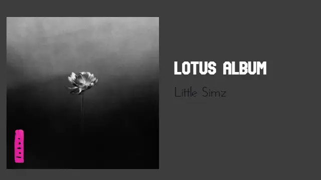 Thief Lyrics - Little Simz