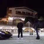 Icon Lyrics – Noizy
