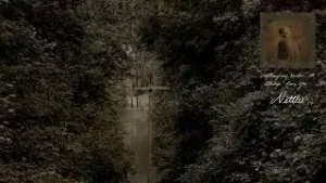 Nettles Lyrics - Ethel Cain