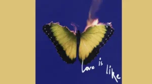 My Love Lyrics – Maroon 5 | from “Love Is Like”