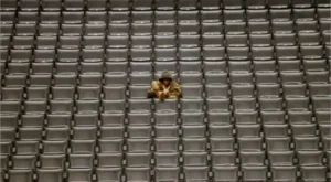 Shark Lyrics - YoungBoy Never Broke Again