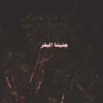 BTA3TI – بتاعتي Lyrics – Abyusif – أبيوسف