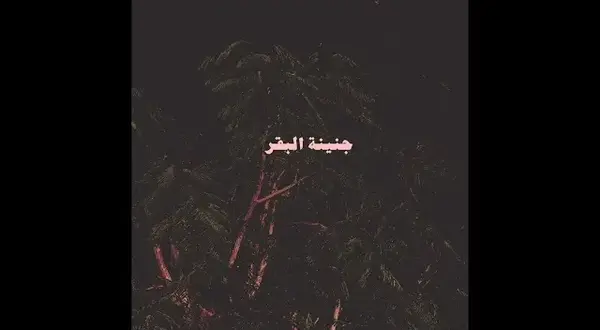 HAYATI - حياتي Lyrics – Abyusif - أبيوسف