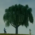 Morfina Lyrics – HUMBE