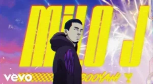 ASHE ASHE Lyrics - Milo j & Garena Free Fire