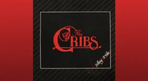 Rose Mist Lyrics – The Cribs | from “Selling A Vibe”