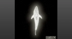 Gatillo Lyrics – Yandel | from "Infinito"