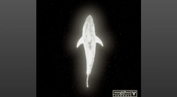 Me Quiere No Me Quiere Lyrics – Yandel | from "Infinito"